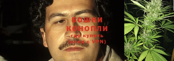спайс Медвежьегорск
