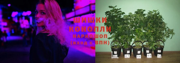 твердый Арсеньев