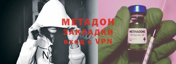 прущие грибы Аркадак