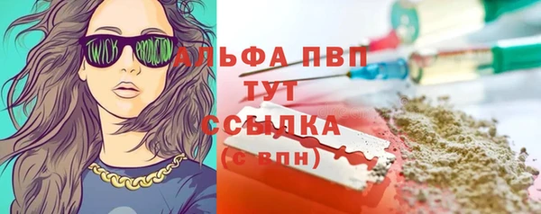 твердый Арсеньев