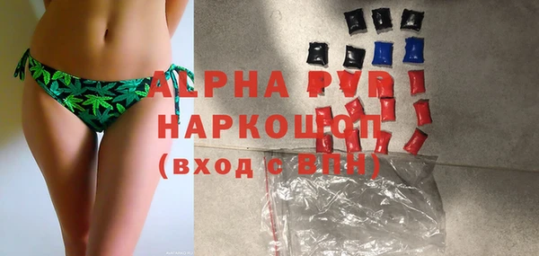 прущие грибы Аркадак