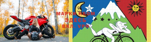 прущие грибы Аркадак